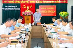 Chủ tịch UBND tỉnh Tô Anh Dũng làm việc với Ban Quản lý dự án Đầu tư xây dựng các công trình dân dụng và công nghiệp tỉnh Thanh Hoá