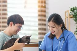 Người tiêu dùng châu Á đang chi 'bộn tiền' cho thú cưng