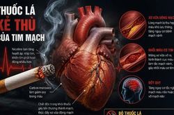 Thuốc lá - “Kẻ thù” của trái tim