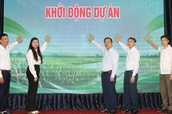 Bắc Ninh khởi động dự án canh tác lúa thân thiện với môi trường