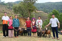 Thêm sinh kế cho người dân Sính Phình