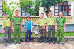 Mường Chà tiếp nhận 1 cá thể gà lôi trắng