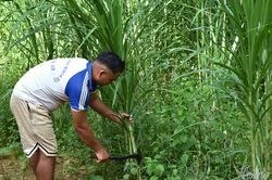 Học nghề mở hướng thoát nghèo ở vùng biên Mường Nhé