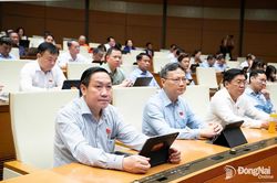 Ho&agrave;n thiện hệ thống ph&aacute;p luật về ph&ograve;ng, chống tội phạm