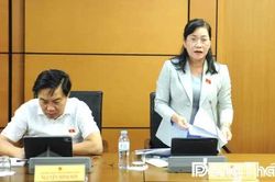 Đoàn Đại biểu Quốc hội tỉnh Đồng Tháp: Cần cơ chế phù hợp xử lý nhà ở đã xây dựng trên đất nông nghiệp