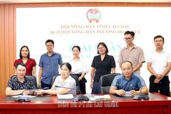 Giải ngân dự án 'Chăn nuôi ngựa sinh sản'