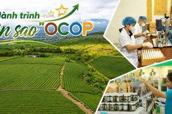 Hành trình “lên sao” OCOP