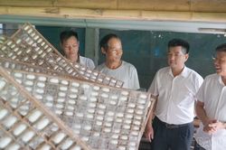 Khi nghị quyết chi bộ đi vào cuộc sống