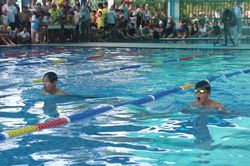 Sôi nổi đường bơi, lan tỏa kỹ năng
