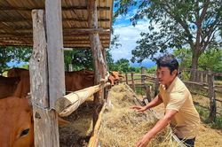 Trưởng thôn trẻ Thổ Văn Liền mở hướng làm giàu từ nông nghiệp