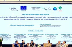 Lâm Đồng thúc đẩy thực hành ESG, hướng tới phát triển cà phê bền vững