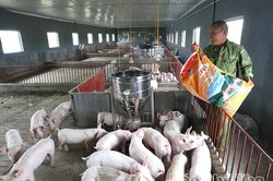 Ổ n định nguồn cung thực phẩm trong dịp cuối năm