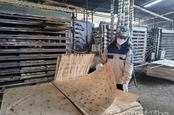 Phát triển rừng, hướng tới tăng trưởng xanh