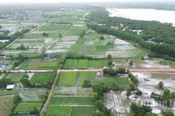 Hồi sinh trên những miền cát