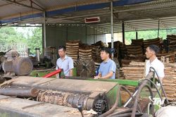 Những 'cánh tay nối dài' của Đảng ở xã Văn Hán