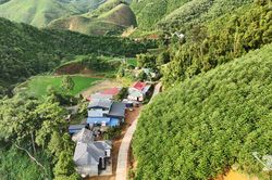 Thái Nguyên có trên 45.000ha rừng được cấp chứng chỉ FSC