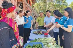 Đổi mới tư duy, nâng tầm hợp tác xã