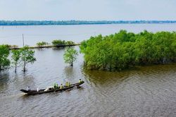 Biến t&iacute;n chỉ c&aacute;c-bon th&agrave;nh nguồn lực mới cho Huế