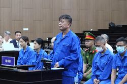 Lý do cựu thứ trưởng Nguyễn Bá Hoan bị đề nghị từ 12 - 13 năm tù