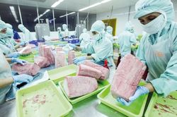 Doanh nghiệp thủy sản, giày dép gặp khó vì C/O