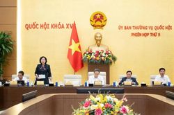 Sắp tr&igrave;nh Quốc hội giảm 30% thuế cho c&aacute; nh&acirc;n v&agrave; doanh nghiệp doanh thu dưới 10 tỷ đồng