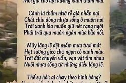Quy luật của bình yên