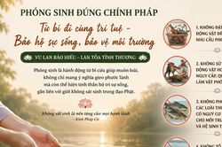 Thực hành phóng sinh trên nền tảng từ bi và trí tuệ