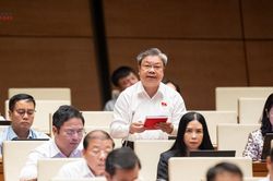 Tích hợp 4 chương trình phải tạo ra hiệu quả tổng hợp lớn hơn