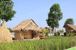 TP. Cần Thơ: Điểm nhấn tại Festival Quốc tế Ng&agrave;nh h&agrave;ng l&uacute;a gạo Việt Nam - Cần Thơ 2026