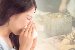 Hắt hơi, ngạt mũi kéo dài: Đừng vội nghĩ là cảm cúm