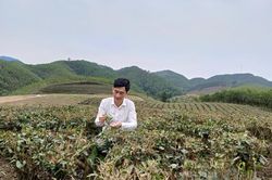SHTT thành 'tấm hộ chiếu' nâng giá trị nông sản Thái Nguyên