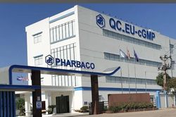 Pharbaco: CEO bị phạt do giao dịch 'chui', lợi nhuận tăng mạnh nhưng cổ phiếu vẫn ở vùng đáy