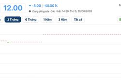 Một cổ phiếu rơi 40% sau 25 phiên 'đóng băng'