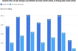 NEDI2 chốt ng&agrave;y trả gần 175 tỷ đồng cổ tức tiền mặt