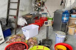 Kỳ 1: Thực phẩm bẩn 'bủa v&acirc;y' người ti&ecirc;u d&ugrave;ng