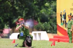 Lan tỏa tinh thần đổi mới, s&aacute;ng tạo trong huấn luyện, sử dụng ch&oacute; nghiệp vụ