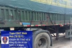 Xử lý xe đầu kéo chở hàng hóa vượt tải trọng cho phép 19%