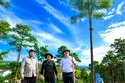 Ki&ecirc;n quyết trả lại m&agrave;u xanh tr&ecirc;n những diện t&iacute;ch bị lấn chiếm