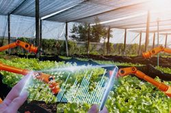 Chất lượng, thương hiệu: 'Giấy th&ocirc;ng h&agrave;nh' của doanh nghiệp Việt
