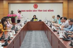 Chuẩn bị chu đáo chuỗi hoạt động của Đại học Thái Nguyên tại tỉnh trong tháng 9/2026