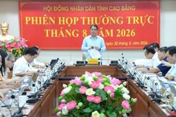 Thường trực HĐND tỉnh họp phiên thường kỳ tháng 8/2026