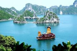 Mỗi địa điểm sẽ có mã định danh 12 chữ số, hiển thị trên VNeID