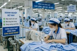 Thêm dư địa tài chính cho doanh nghiệp từ chính sách thuế