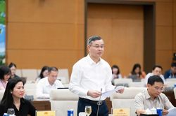 Đề xuất giảm 30% thuế cho doanh nghiệp, hộ kinh doanh có doanh thu đến 10 tỷ đồng