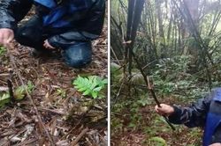 Kịp thời phát hiện và ngăn chặn các hành vi xâm hại động vật rừng