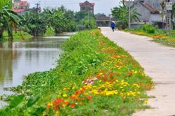 Từ những con đường bê tông đến những miền quê đáng sống