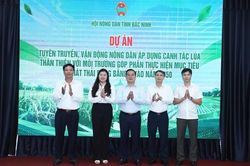 Bắc Ninh: Nhân rộng mô hình canh tác lúa giảm phát thải, hướng tới mục tiêu Net Zero 2050