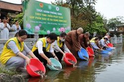 Tăng cường tuyên truyền, hướng dẫn phóng sinh đúng quy định, góp phần bảo vệ đa dạng sinh học