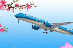 Hàng không bắt đầu bán vé máy bay Tết Đinh Mùi 2027