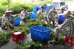 Hơn 13.000 người chấp h&agrave;nh xong &aacute;n phạt t&ugrave; được vay 1.000 tỷ đồng vốn l&agrave;m ăn